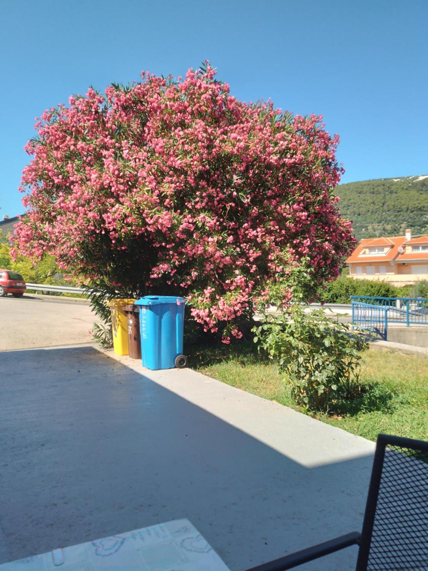 Villa Ribaric Banjol Exterior foto