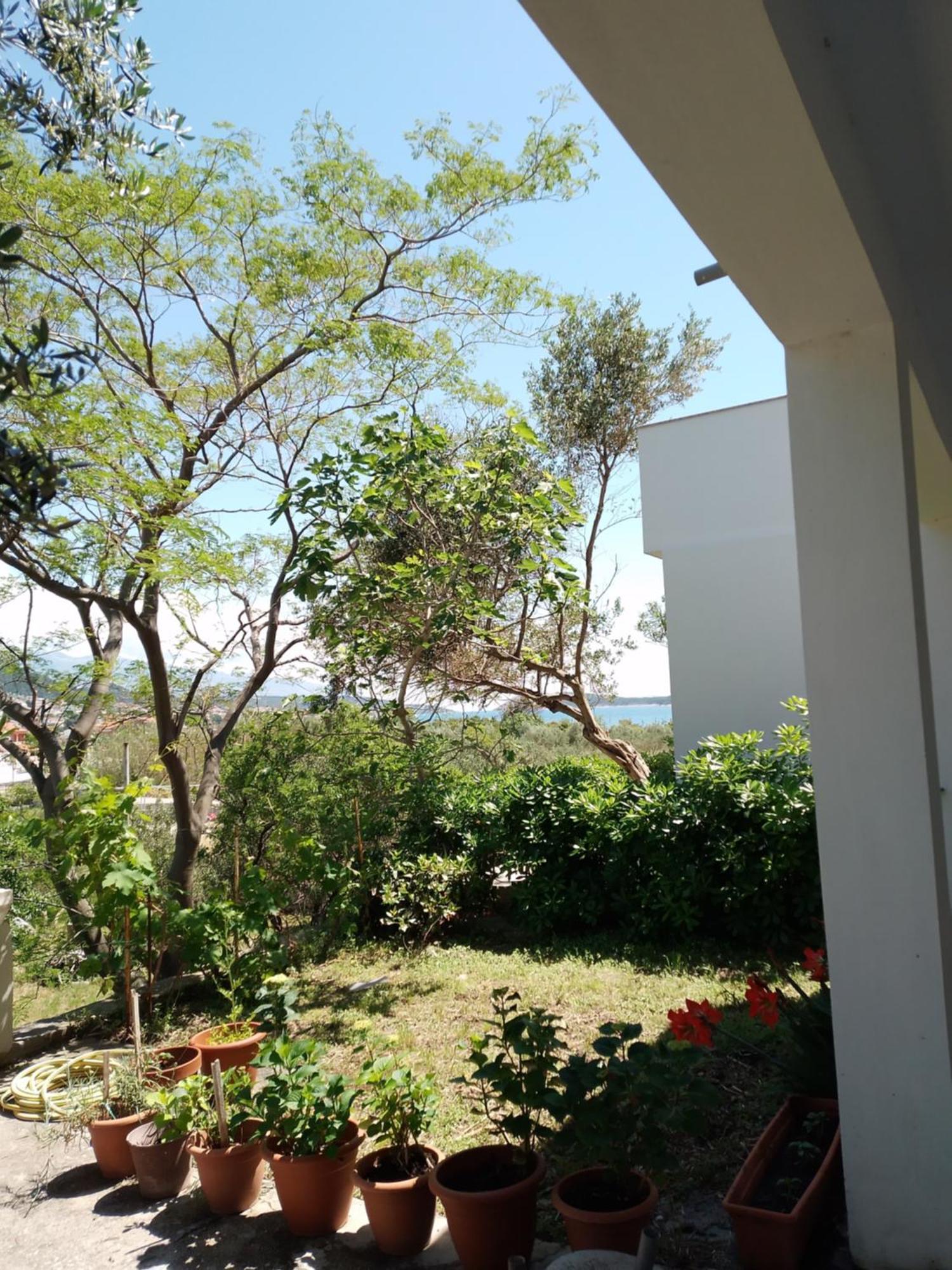 Villa Ribaric Banjol Exterior foto