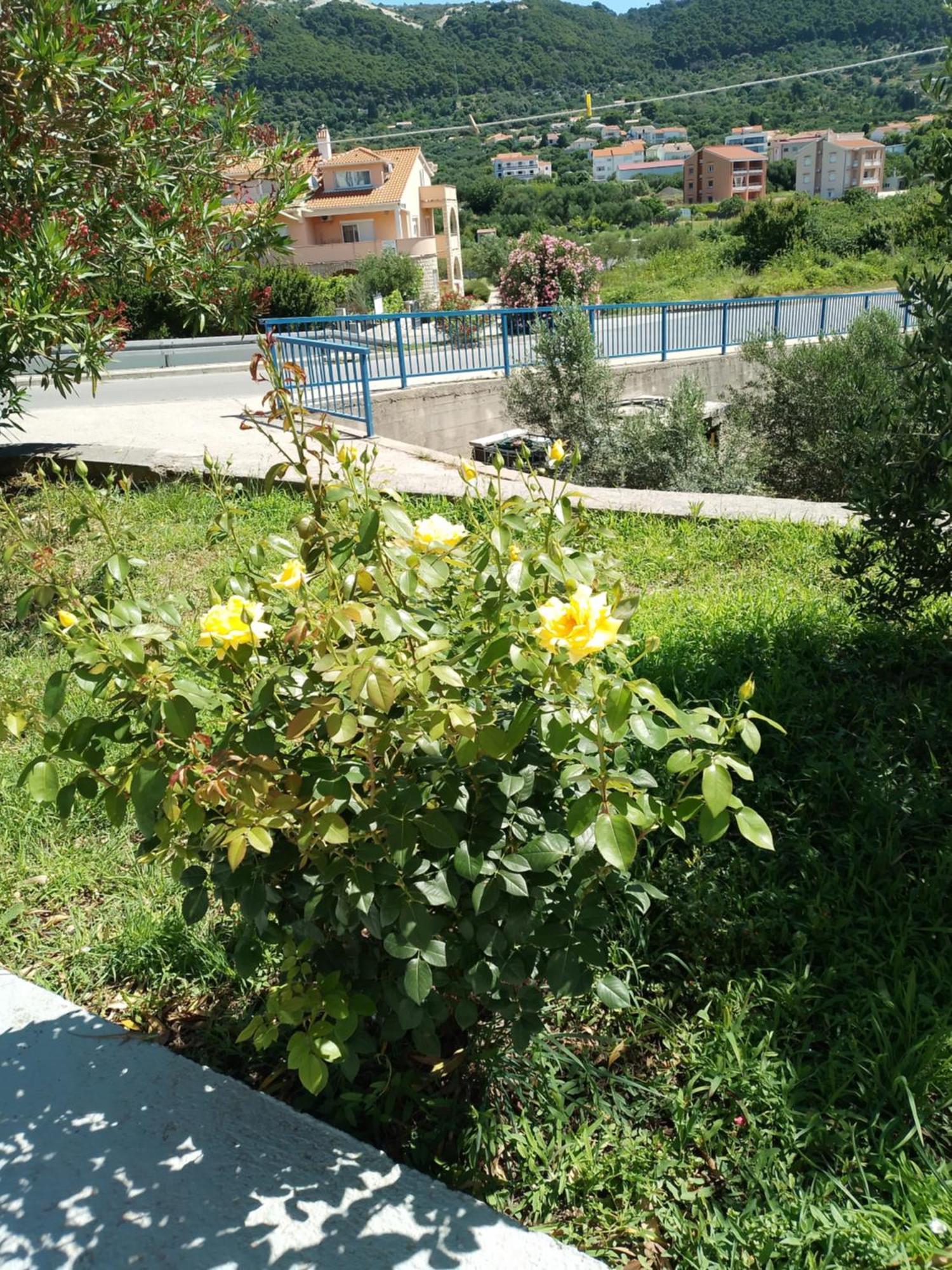Villa Ribaric Banjol Exterior foto